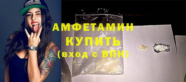стаф Богданович