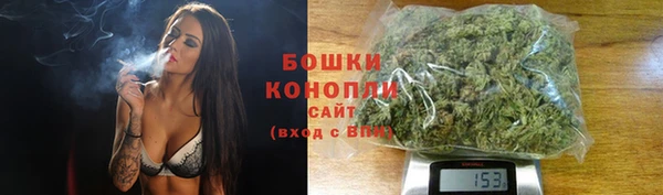 стаф Богданович