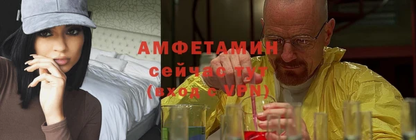 стаф Богданович