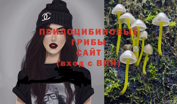 стаф Богданович