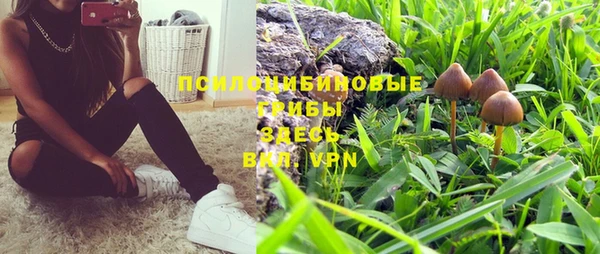 гашиш Богородск