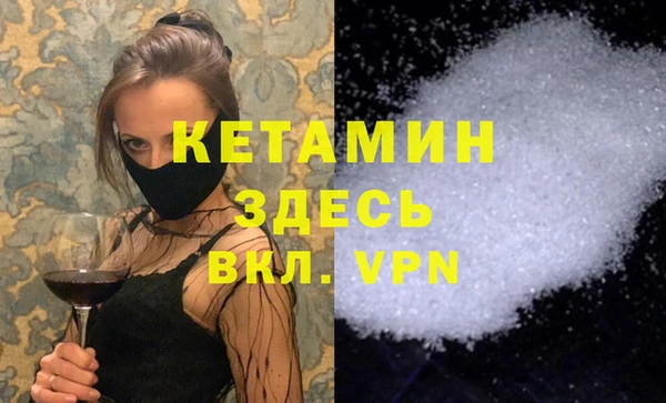 стаф Богданович