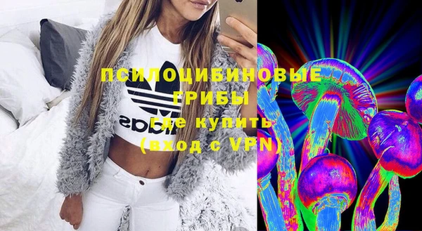 стаф Богданович