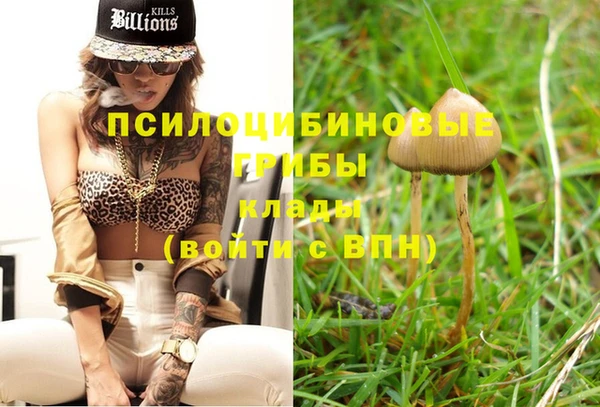 стаф Богданович